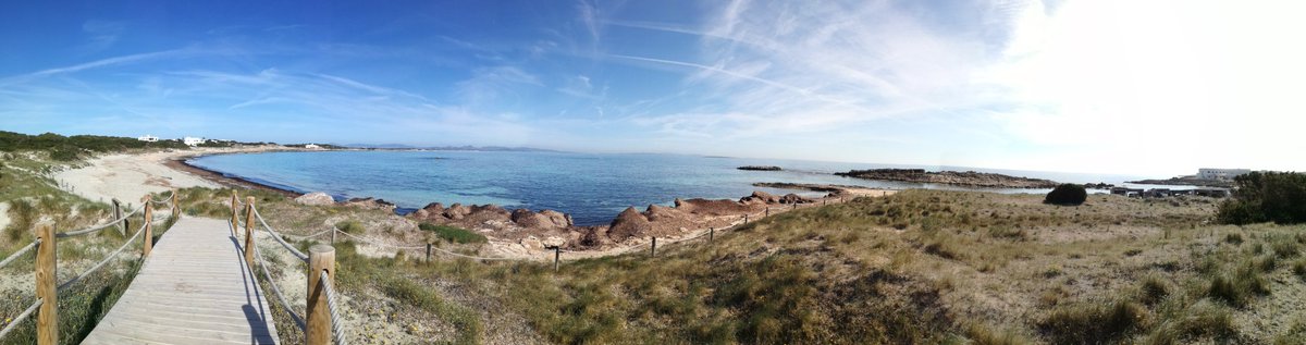 ilCazza's tweet photo. Ultimo giorno del nostro gruppo Yoga, l'isola piangerà la partenza delle loro piccole anime, lasciandogli come ricordo un pezzettino di se stessa nel ❤️!!!
#Formentera2018 e sei subito sedotto!!!
https://t.co/dJQzisL09I 
#formentera #formenteraexperience #wishtravel #viaggio https://t.co/uYtMQNiBD7