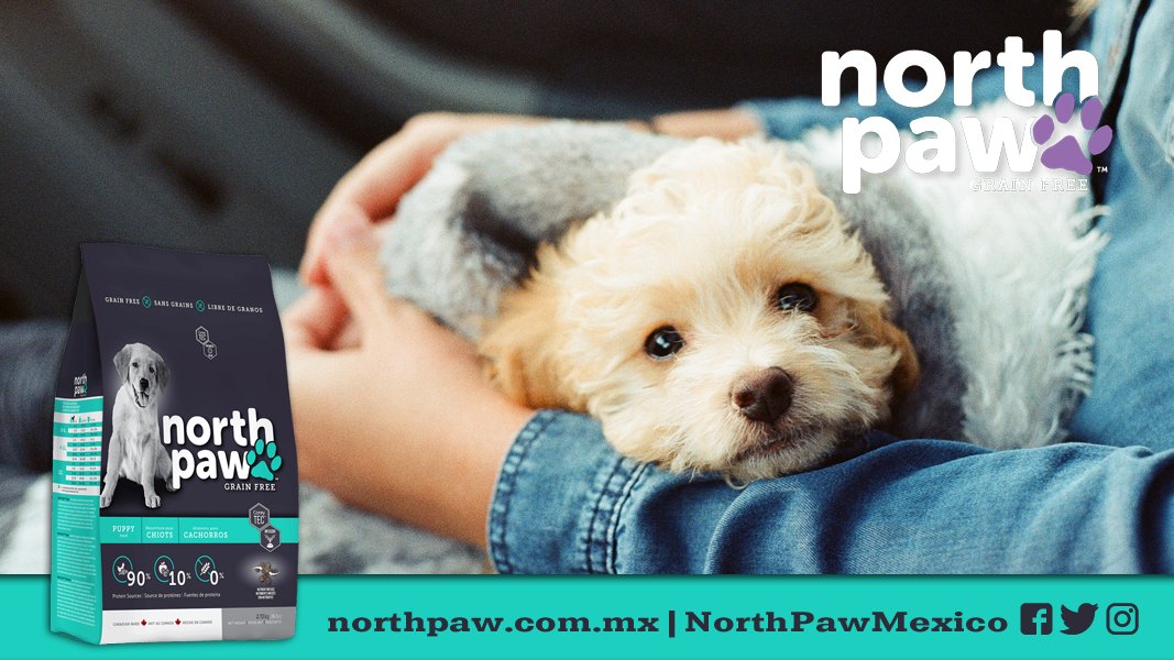 NorthPawMexico's tweet photo. Dales el mejor comienzo posible, nutrición sólida y un impulso para el desarrollo en una fórmula altamente digestible #NorthPaw #LibreDeGranos https://t.co/eBNLIPm8GS https://t.co/bYUJWNknFa