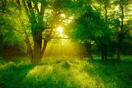 JennySWL's tweet photo. We all have seen so many corrupted areas that we have to remember that out there still beautiful places to remember for what we fight... https://t.co/kiA181AGMO