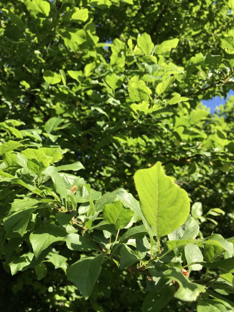 NATPICSs's tweet image. 🌱