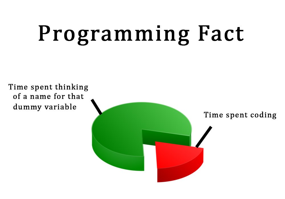 The Sad Life Of A Vba Developer Programmerhumor