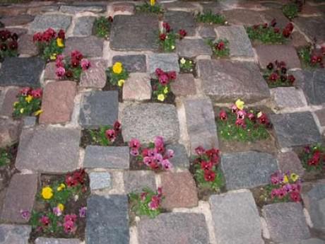 gorodunet's tweet image. Если тротуарная #плитка со временем местами пострадала, не стоит ее заменять. Лучше испорченный фрагмент убрать, а освободившееся место заполнить питательной почвой и высадить низкие декоративные растения – анютины глазки, молодила, очитки, живучку или мох.

#садовыйдекор #старая