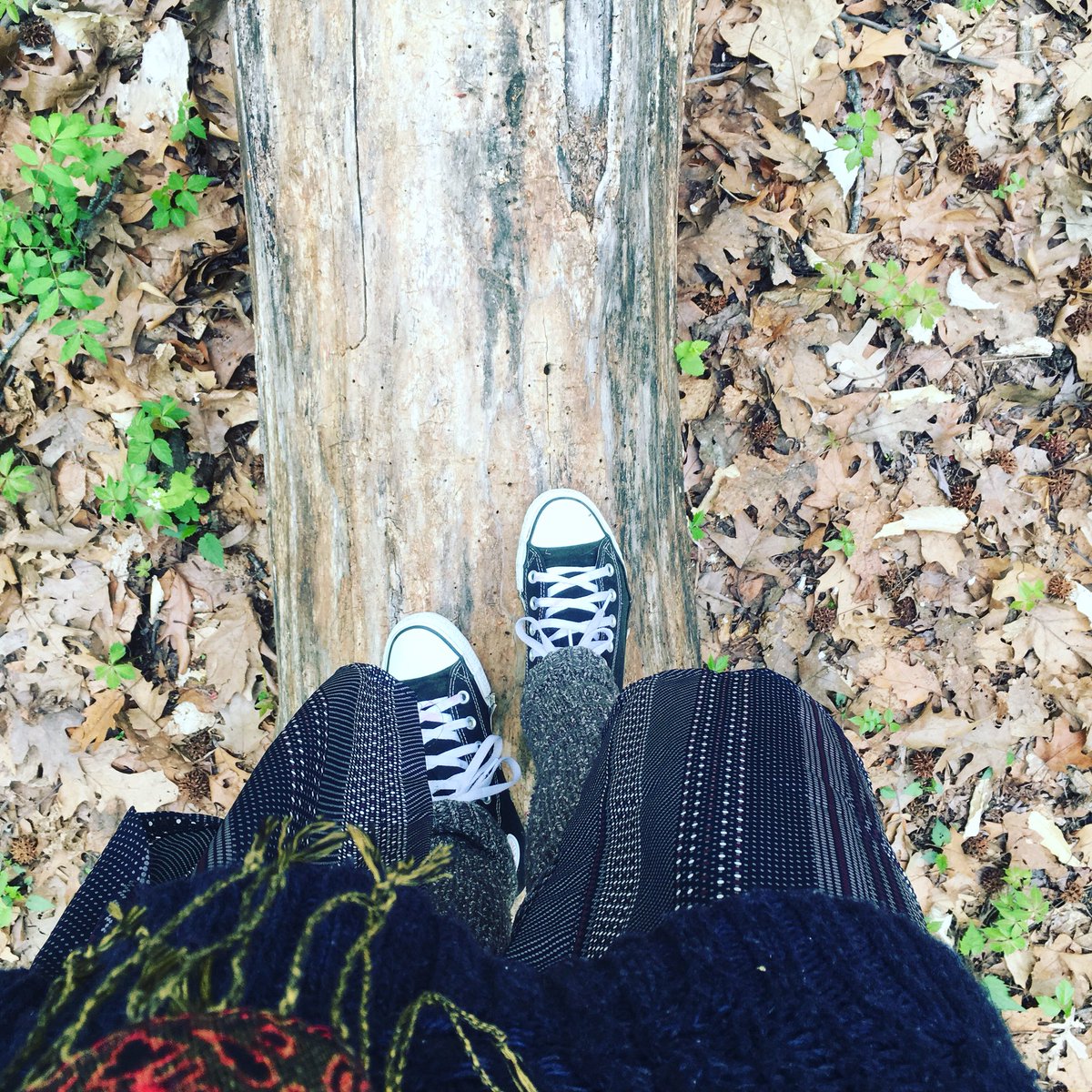 NikkiFITGlobal's tweet photo. So happy to have found this new magical place to connect and escape to another world #CBDOIL #TrainLife #Shredded #motivation #GymRat #NikkiDFit #NikkiDFitProject #RawVegan #NikkiDFitRadio #RawVegan #Organic  #Success #Goals #pumped #Fearless #SquatLife  #HealthyLiving #Nyc https://t.co/Q1de7MKHdc