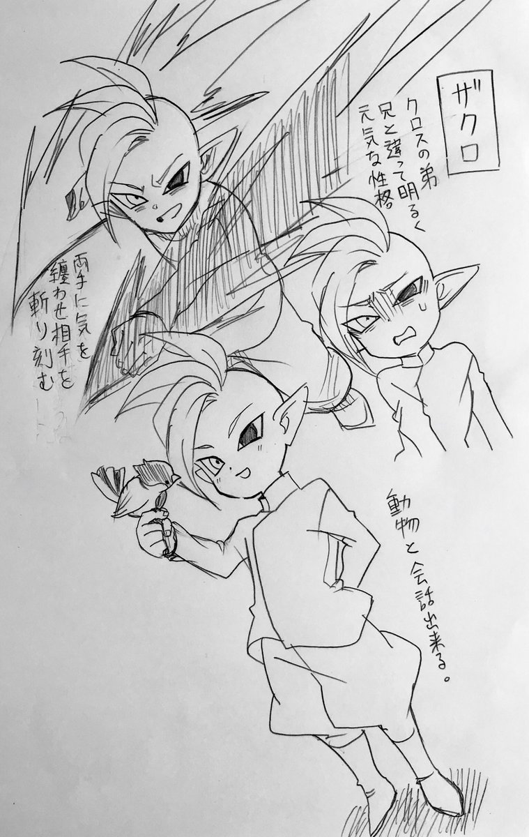 ザクロちゃんはこんな感じ