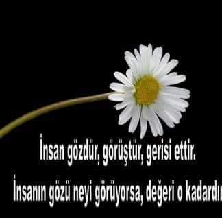 Inan Aydemir (@inanaydemir) on Twitter photo 