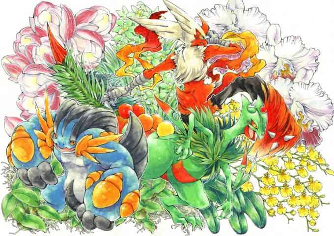 表紙できた!ホウエンメガ御三家とランランラン～～ 