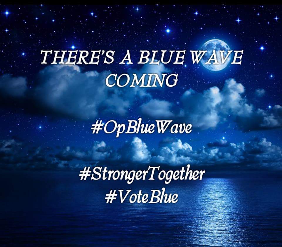 OpBlueWave2018's tweet photo. @Kokomothegreat 🌊😊✌ Ifb all #resisters!   #OpBlueWave https://t.co/OrQ5ef4QD1