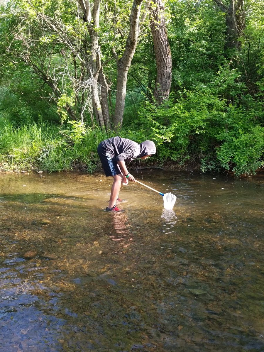 Coachwalk1021's tweet photo. OA crawdad hunters today. https://t.co/QhSNOUiutU