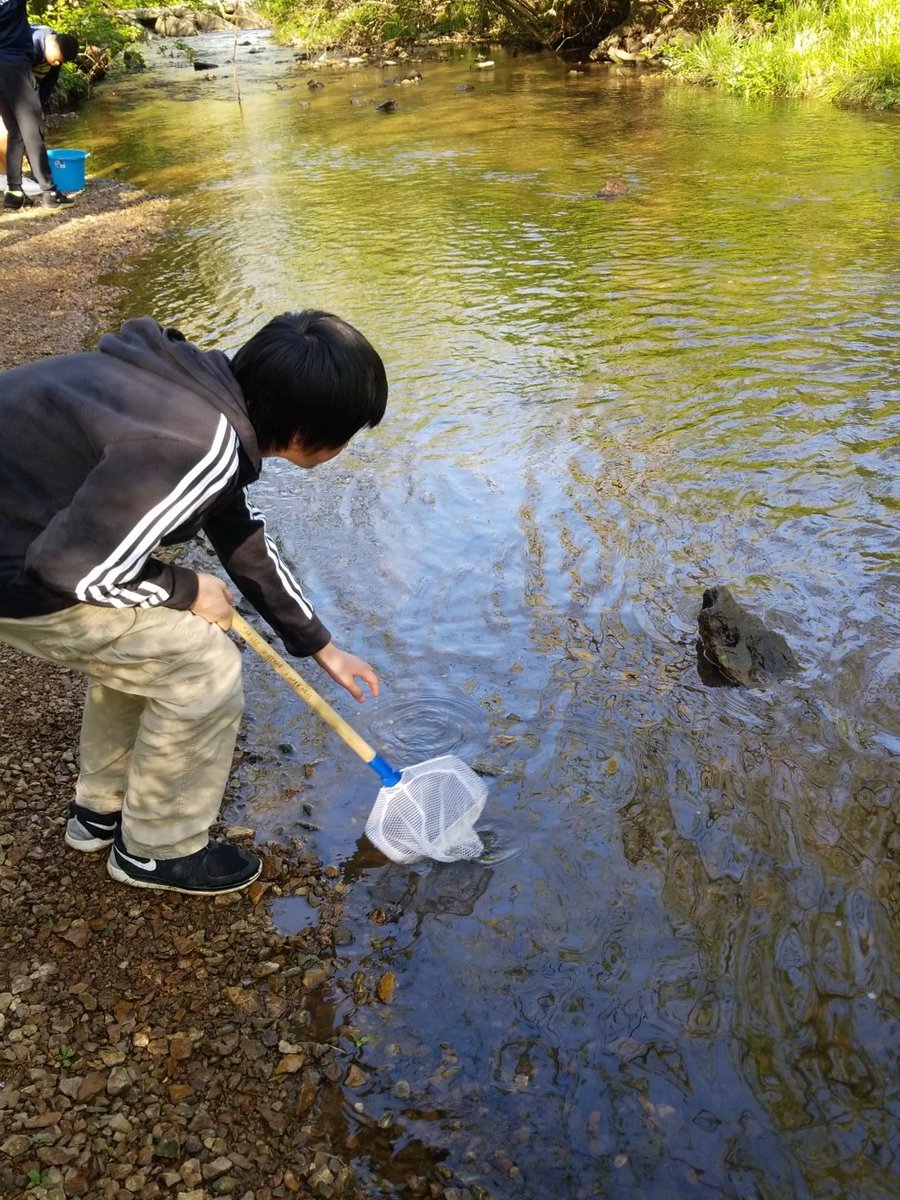 Coachwalk1021's tweet photo. OA crawdad hunters today. https://t.co/QhSNOUiutU