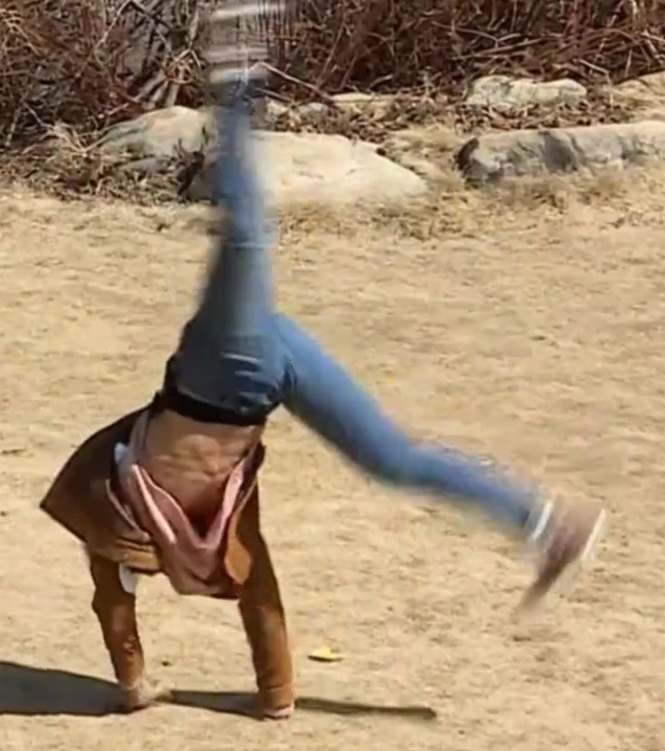 ` แม่น้องอูจิน ● ㅅ ● ↺ tweet media