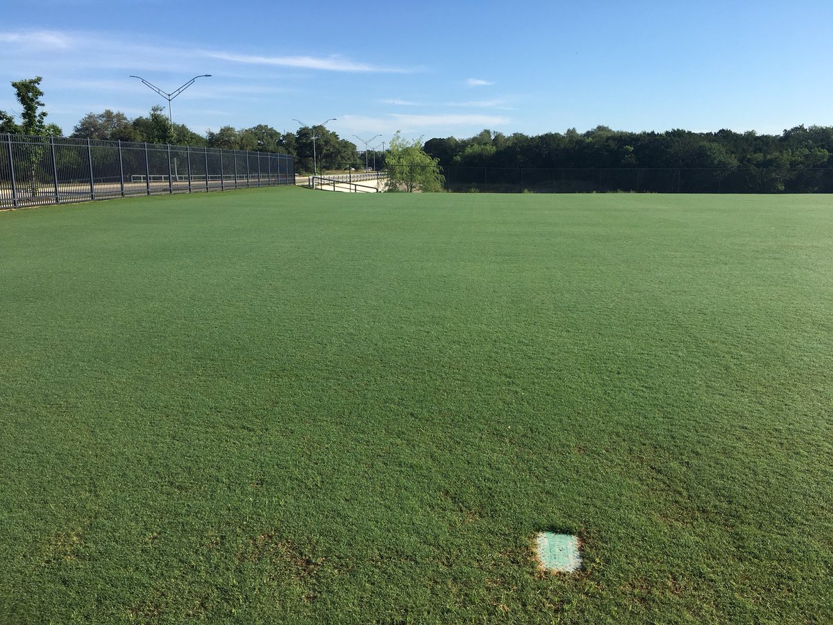 BrannonBurks's tweet image. Look at all of that beautiful bermuda grass! #transitioned