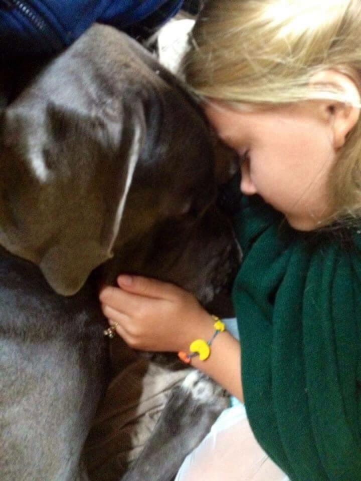 WishgateOnlus's tweet photo. Con il tuo 5X1000 produciamo anche serenità.
Firma e C.F. 97680360159 ❤️❤️❤️
#onlus #donazione #noprofit #associazione #solidarieta #accoglienza #pettherapy #wishgate #educazione #amore #greatdane #terapia #alani #affetto #alanoblu #speranza #obiettivi #risultati #5x1000 https://t.co/OOyfBn96s2