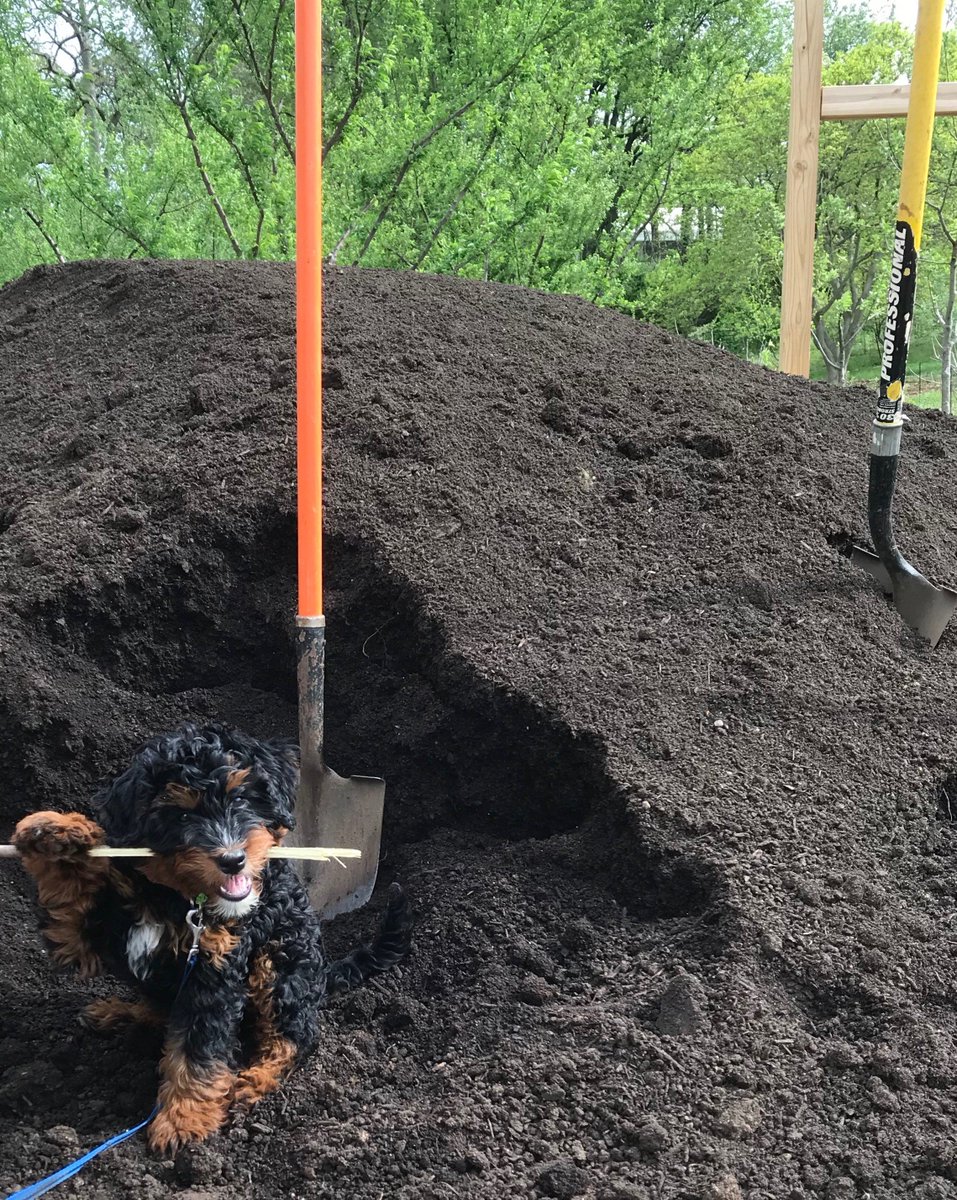 Laurel Valley Soils tweet media