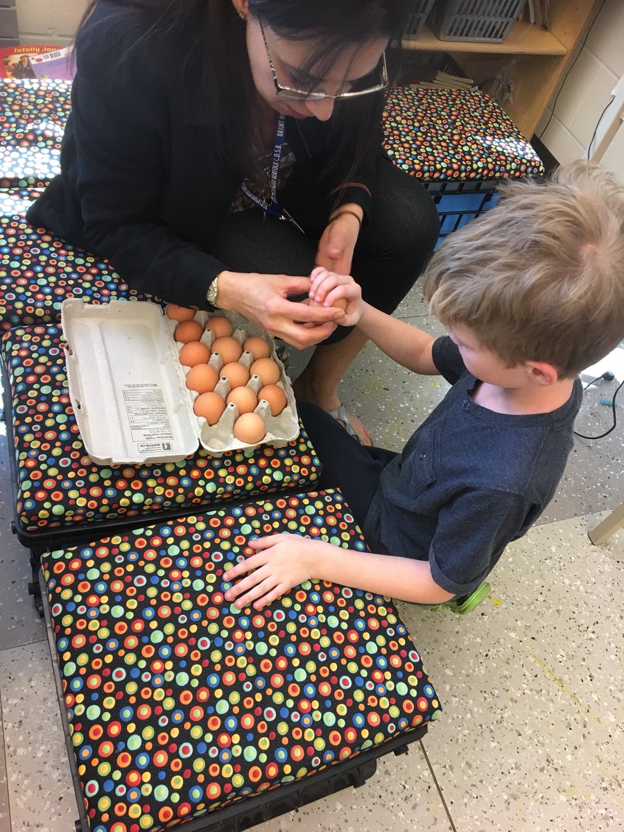 tuttifruittyMsN's tweet photo. Egg 🥚 hatching  🐣 in grade 3/4 https://t.co/qY9x927YMJ