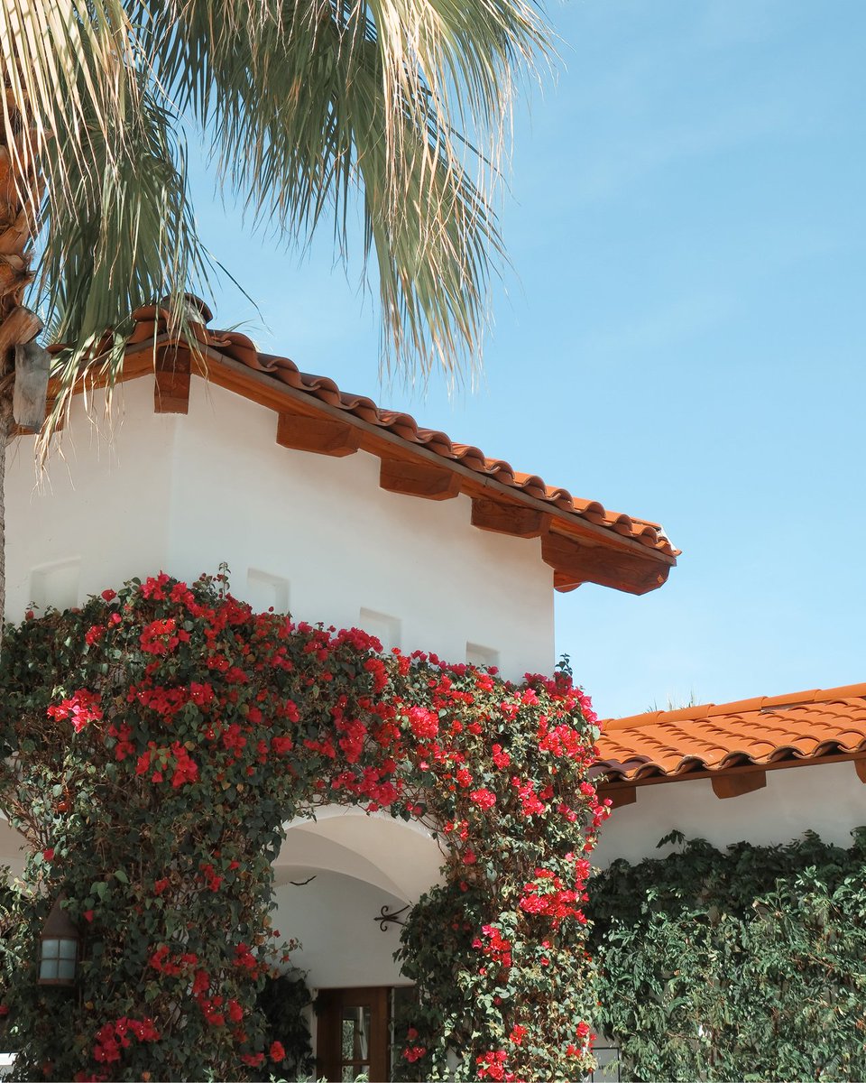 Loose Project tweet media