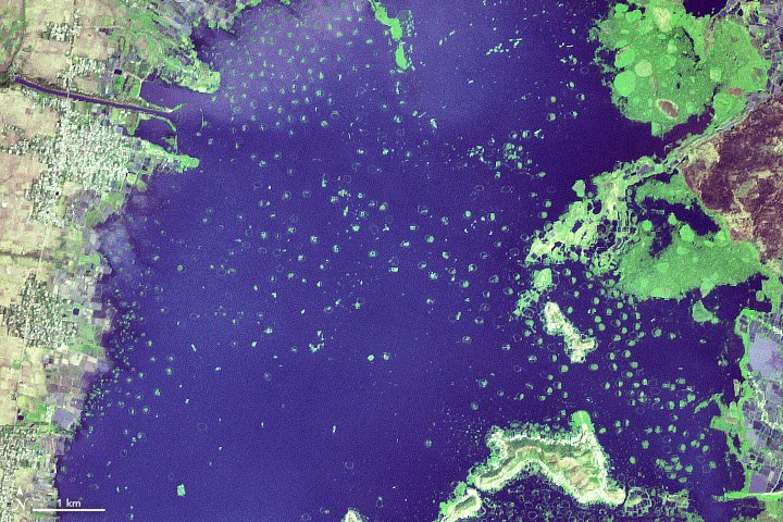 The Floating Islands of India go.nasa.gov/2IkwvHh #NASA