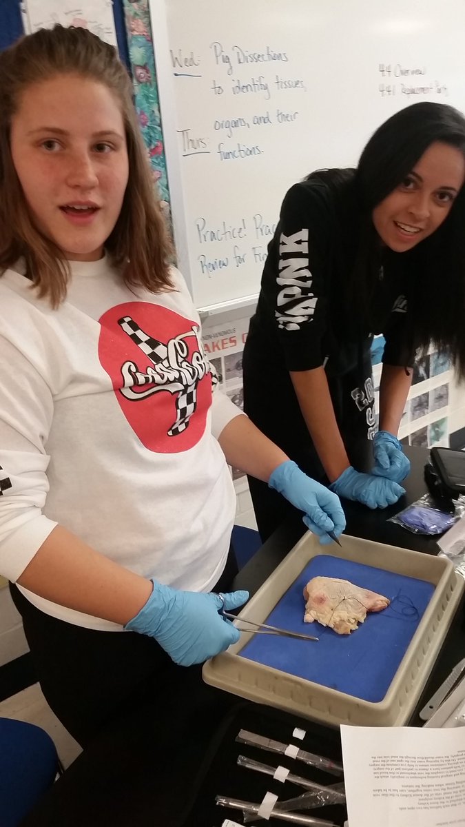 JessLRowe's tweet photo. Suture lab for MI! https://t.co/jKrfhlydWh
