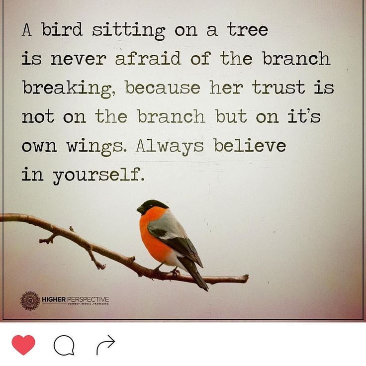 bcofboulder's tweet image. monday meditation #birthcenterofboulder