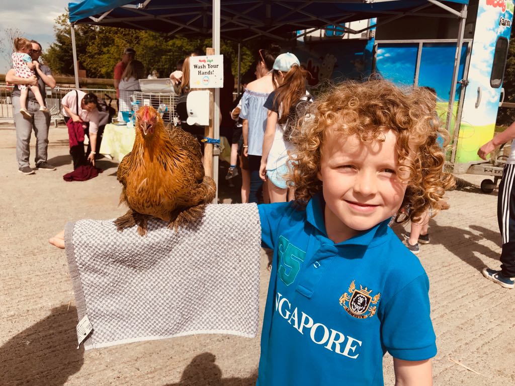 IFAmedia's tweet photo. Well done to the McMahons. Superb family day out in north Dublin showing a working farm to the public. @FieldstownFarm #OpenFarm18 https://t.co/NFmCjXmqKp