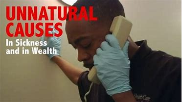 Optimus Health Care tweet media