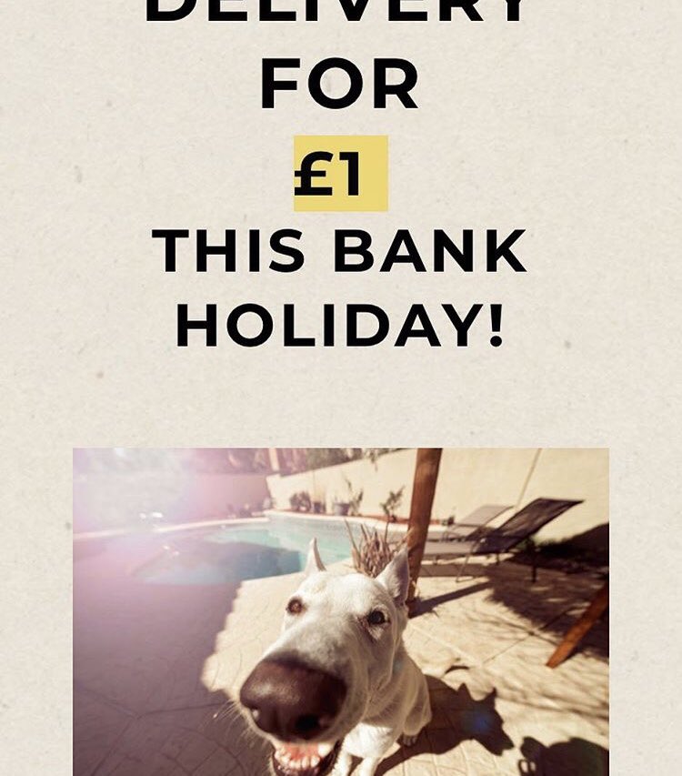 Four legged fancies tweet media