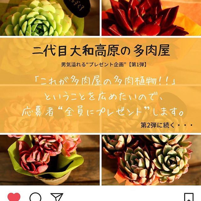 lovekomarin's tweet photo. @yamatotaniku.2nd さんの#ポップアップストア 前回の#福岡開催 参加出来なくて、とっても後悔。
#二代目大和高原の多肉屋 さんの男気溢れる企画に参加します😆
宜しくお願いします✨ https://t.co/pzMuu9WqmP https://t.co/VZJToCqfhb