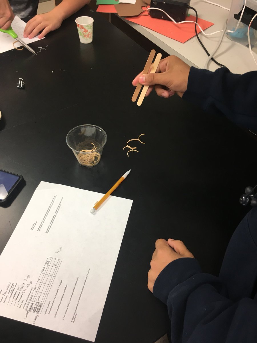 mrcoachbrewer's tweet photo. Darwin’s bird beak activity.  @CainConnection @JoeyBelgard #staplebugs #rubberbandworms #toothpickbugs https://t.co/jpLWPelVrc