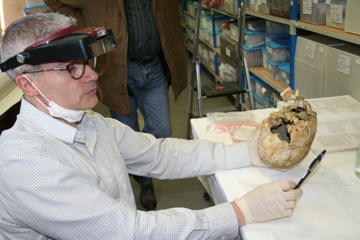 TresordeVix's tweet photo. #recherche #professionsMW
Quelles relations entre la dame de Vix et ses voisins ? Entretien avec Fabrice Demeter, #paléoanthropologue au Centre Geogenetics de #Copenhague #Science #archeologie ➡️ https://t.co/jYzH314Eyh https://t.co/bmB7IgP0QC