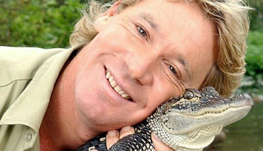 " ليس لدي اي خوف من فقدان حياتي اذا كان علي ان انقذ كوالا او تمساح او كنغر او ثعبان ياصاح ، سوف احفظها " 

-ستيف اروين كان خبيرا بالطبيعه وشخصيه تلفزيونيه استراليه ، ثقب حتى الموت فالصدر من قبل سمكه بينما كان يغوص في شعاب Queensland المرجانيه ٢٠٠٦