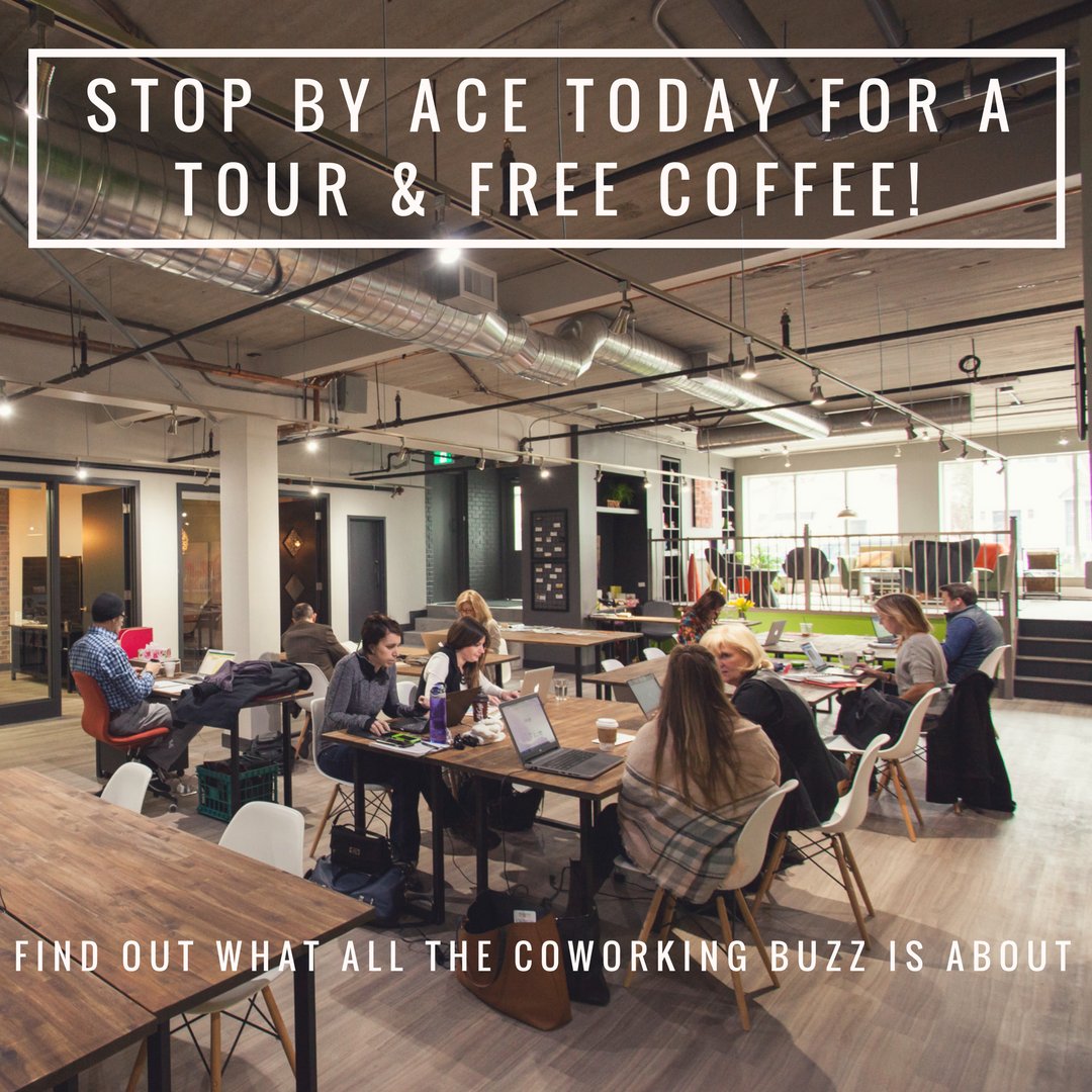 acecoworking's tweet photo. What are you waiting for? Stop into Oakville's Premium Coworking space today to see what the growing #coworking trend is all about. #sharedworkplace #community #dtOkaville #collaboration #coworkinglife #coffeelovers #WorkBetterTogether https://t.co/vnYhkh3Iim