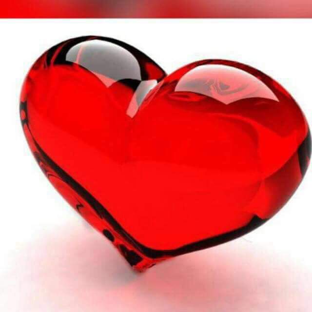 PattyRav's tweet photo. @Madonna Gia e nn sai quanto.  Ora me ne rendo conto ora che sono in ospedale . Dio mi ha salvato.  Ciao bellissima ti amo . Your Bichers https://t.co/eS4CWSjQ7p