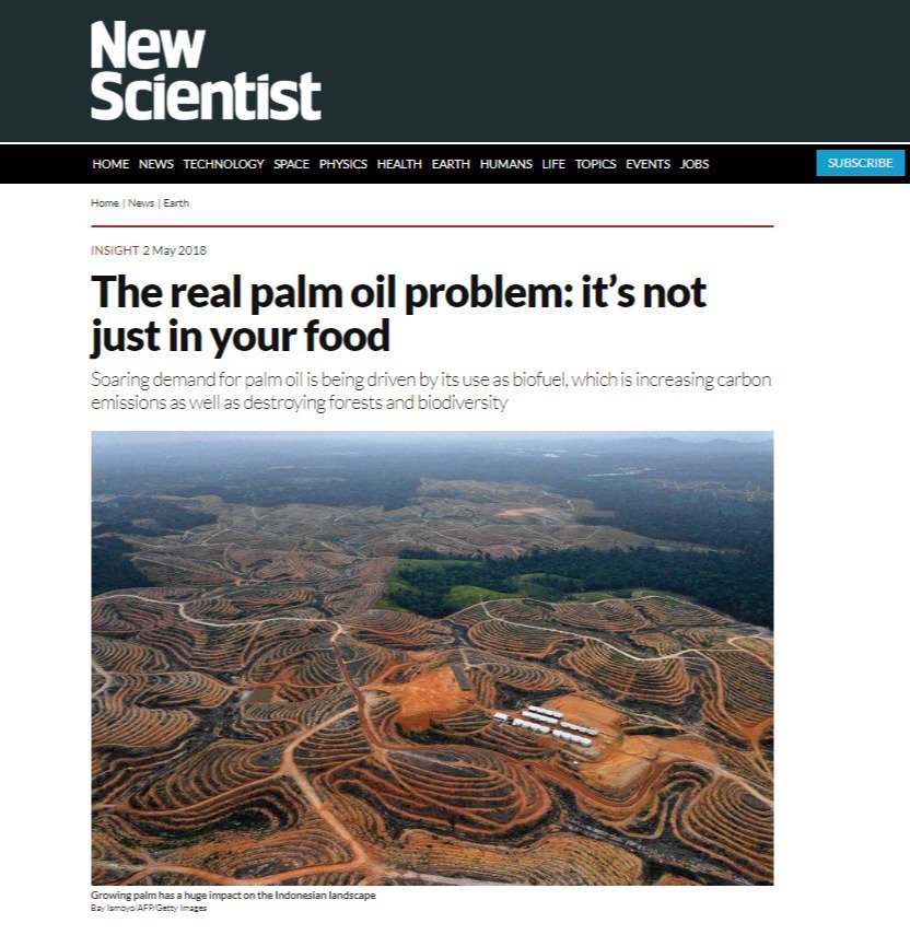 RainforestNORW's tweet photo. Excellent article by @NewScientist (paywall) on why continued use of #palmoil #biofuels is undermining our chance to meet global goals to stop #deforestation and limit #climatechange. Projections based on a report by @Cerulogy &amp; @RainforestNORW https://t.co/bjxTSzyxOo https://t.co/YE9MByfAPC