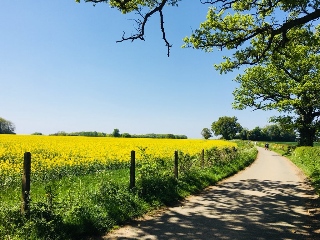 JosephineCumbo's tweet image. #Hertfordshire #Rothamsted