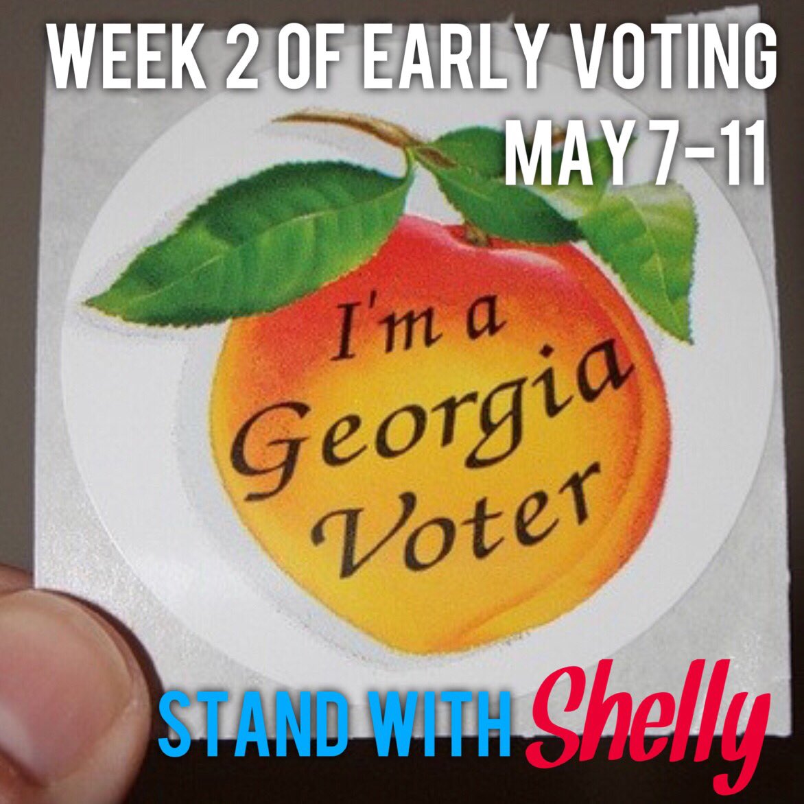 Week two of early voting starts today! Early voters can visit the Hall County Government Building (2875 Browns Bridge Road, Gainesville) between the hours of 8 a.m.-5 p.m. on week days (May 7-11). ✔️ Next week (May 14-18) will be the final week of early voting before May 22.