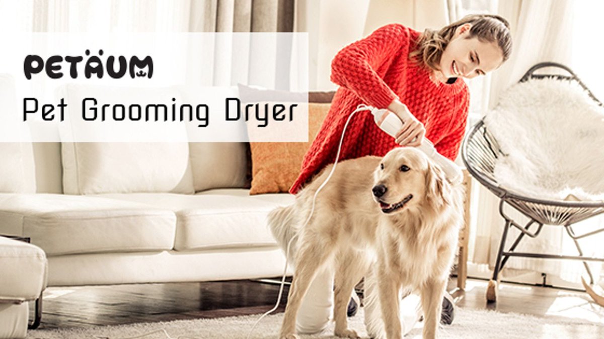 The_Crowds's tweet photo. Petaum Grooming Dryer is a combination of a dryer and a brush for your pets. You can dry and brush with one hand at a time, saving time and energy. https://t.co/V9uu1W8HyT #pets #dogs #petgrooming #grooming #petlovers #pettools #Kickstarter https://t.co/t8gDYXz3Vb