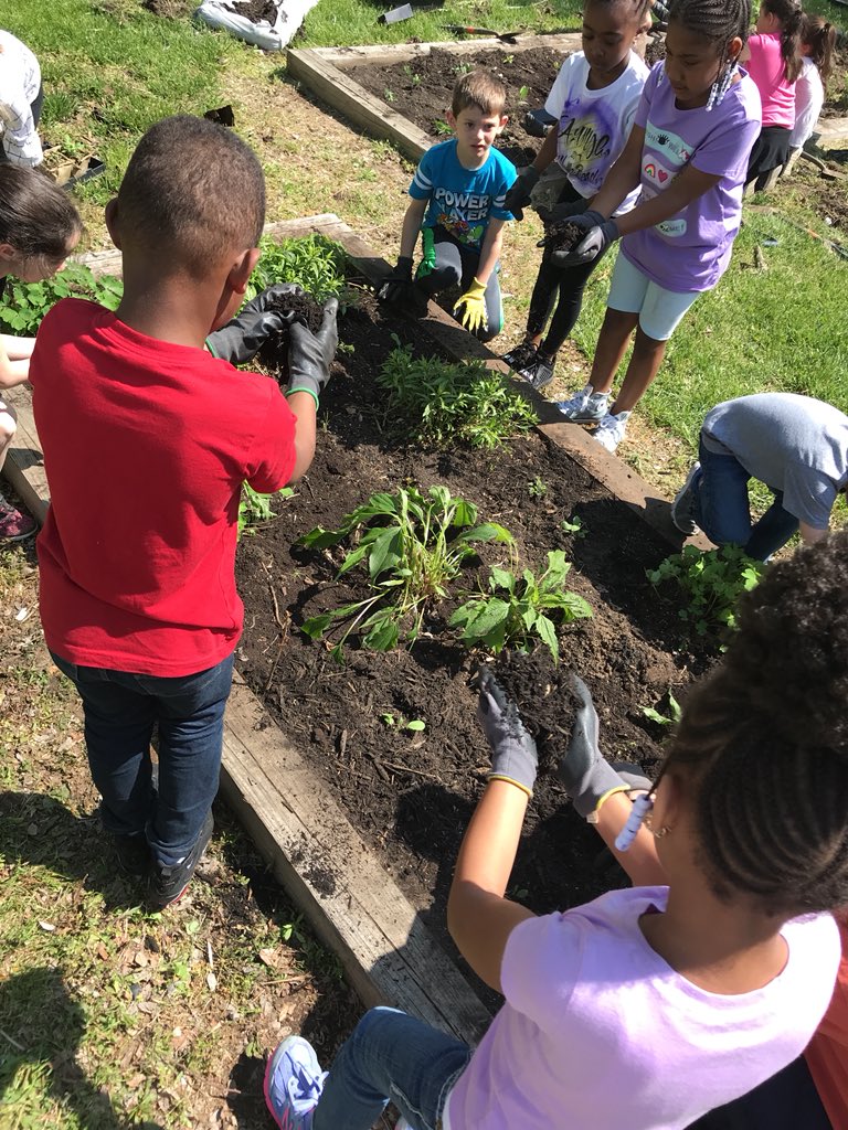Helping prepare our garden for our Monarch butterflies’ return! @SouthgateTigers @AEchoEnvEdAACPS #activeengagement