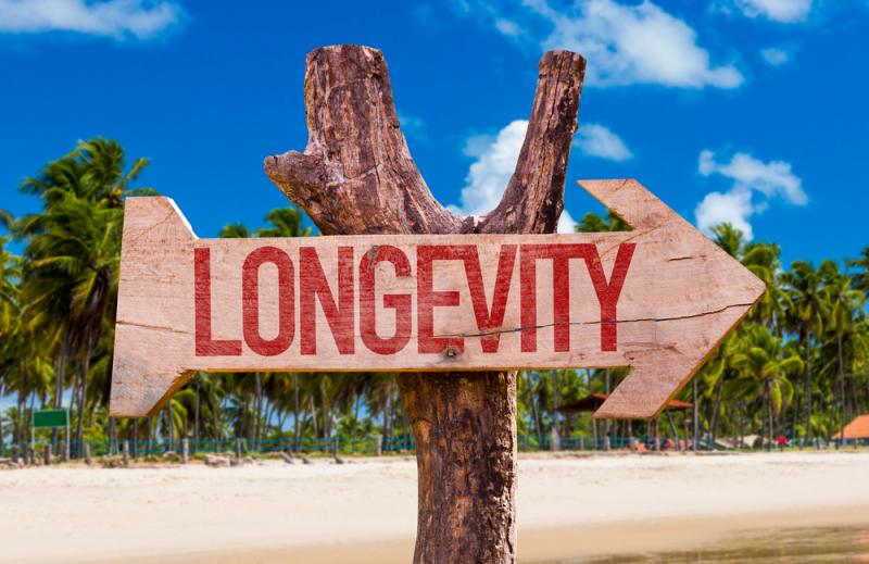 DrShawnThistle's tweet photo. Impact of Healthy Lifestyle Factors on Life Expectancies in the US Population (Circulation 2018)
In case you forgot...live longer by:
1) not smoking
2) exercise
3) healthy diet
4) maintain BMI
5) reasonable alcohol intake
#health #wellness #longevity
https://t.co/RU5vF5sFuT https://t.co/Sp58FM91YP