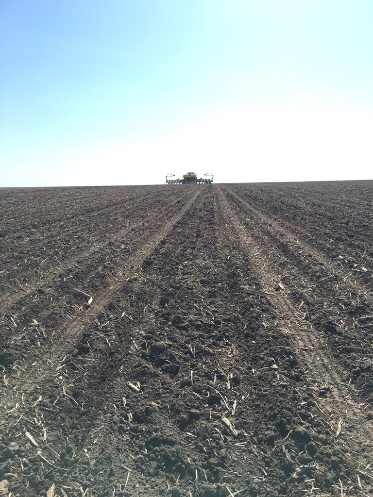 AgronNateL's tweet photo. Back in the saddle after a short rain delay with another @PioneerIowa #GrowingPointAgronomy population plot. Recognize this one @hrlyjnss ? https://t.co/oueA02Y0ef