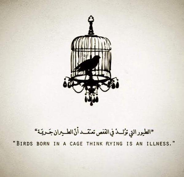 Rosidi Jamil tweet media