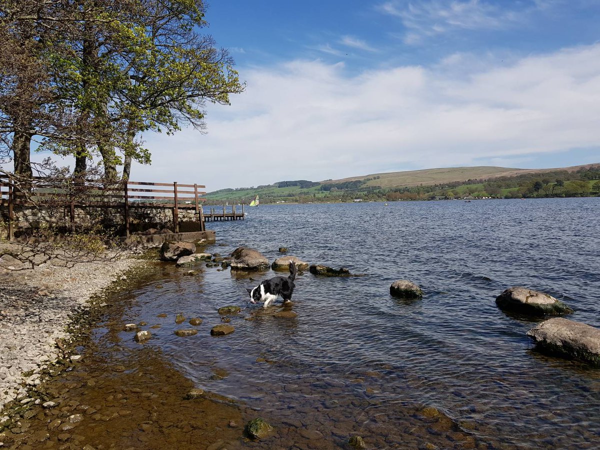 Enjoying a dip in Ullswater thanks to <a href="/PetsPyjamas/">PetsPyjamas.com</a> <a href="/wardeysco/">Iain Warde</a>
