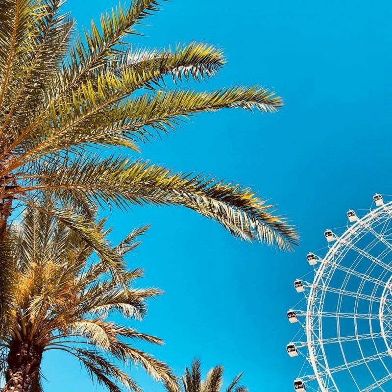 VisitOrlando's tweet photo. Monday Views! ☀️(📸:@dispoitras) #internationaldrive #idrive #orlandoeye #ferriswheel #idrive360 #visitorlando #orlandoflorida #orlando #florida #travel #vacation #photography #explore #tourism
@dispoitras https://t.co/mXdI2iPahV