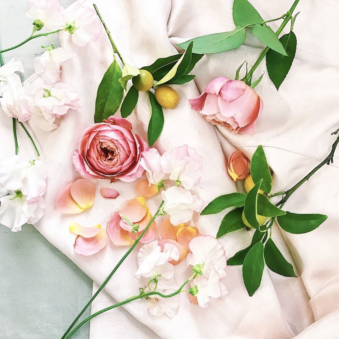 FOTOstrap's tweet photo. "Mom taught me that beauty is all around me... and she is my favorite example." - unknown | #Fotostrap https://t.co/xvfnxwErIG