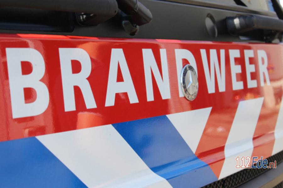 🚨 Veel rook bij flinke brand op de Ginkelse Heide 112.press/QS3C91 112Ede https://t.co/g7iuO0t1Nm