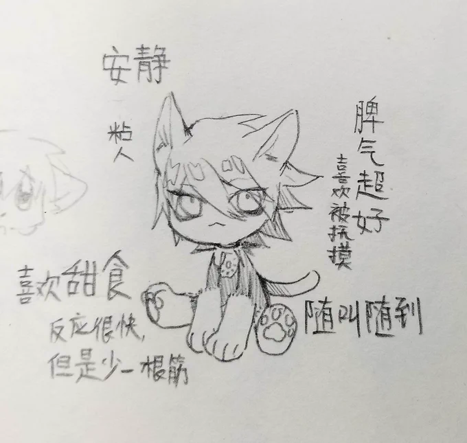 猫设定 