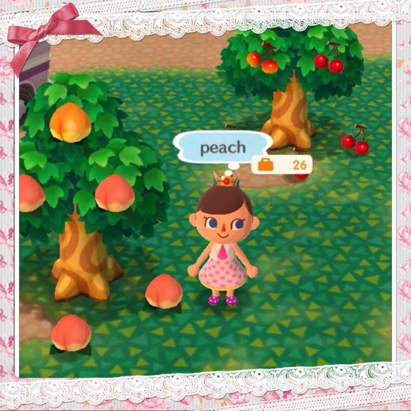 AC_Cronut's tweet photo. Animals Favorite Perfect Fruit List & not their favorite fruit list you can find here โคต๏ธ and I will ๐ it too.
#acpc #perfectfruit #favoriteperfectfruit #list
https://t.co/hF6TLr4Owy https://t.co/QU0pxRaj2J