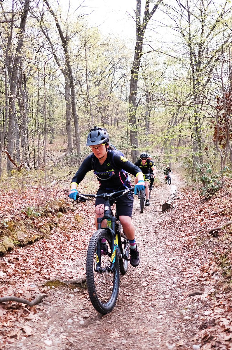 top 10 brands of cycle