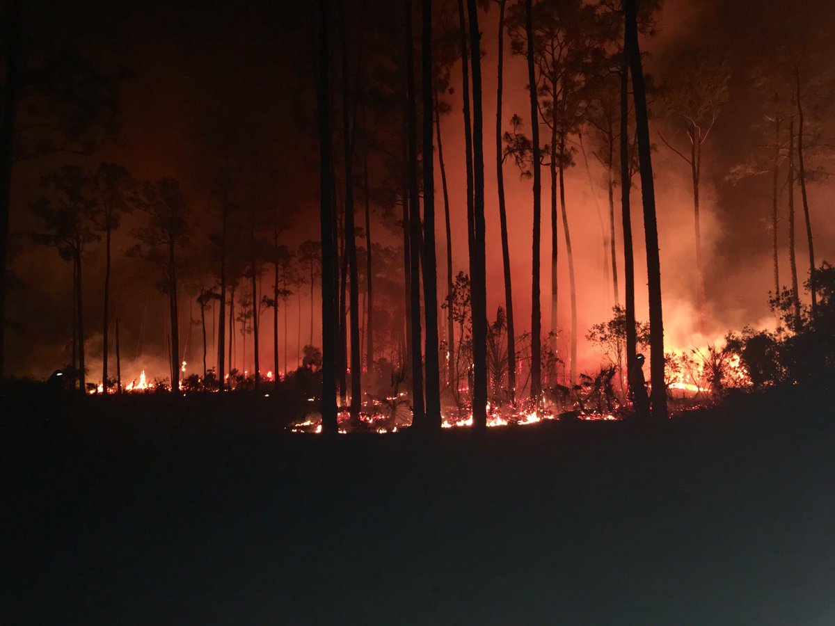 NWS_IMET_OPS's tweet photo. . @NWSFlagstaff IMET Trainee on site at #AvianComplex near Everglades City, FL #FLwx #FLFires @BigCypressNPS @NWSMiami https://t.co/3ZbooDbmJw https://t.co/99a0ZOGSYe