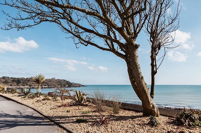 The Working Boat tweet media