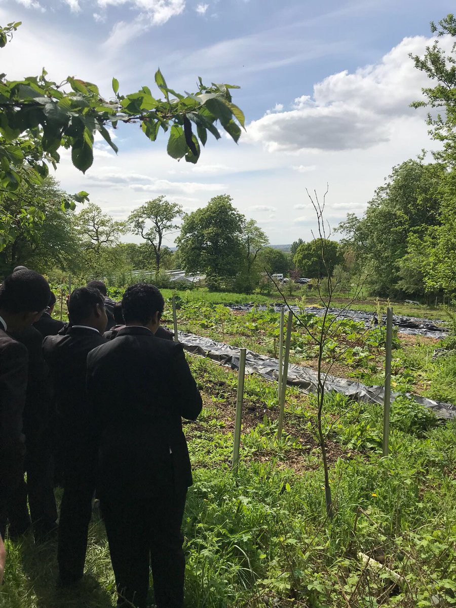 Norlington6form's tweet photo. More from our Y9s visit to @organiclea as part of the Know your Onions project. https://t.co/wlwYHcbadV