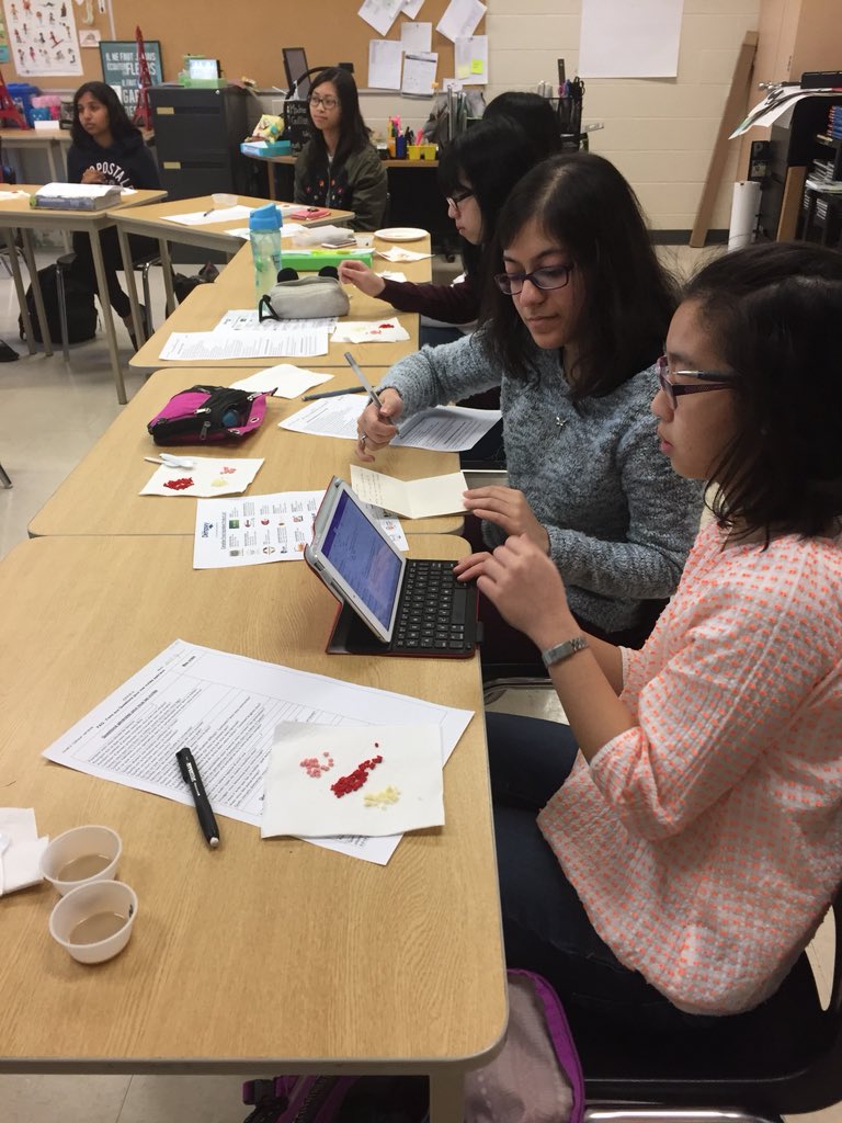 MmeGillan's tweet photo. Gros merci à @Belyseecollen for coming to speak to #FSF4U0 @MississaugaSS about using French in Food Science & Sales #TasteTest #ChickenSmoothie https://t.co/hZXSax02ky